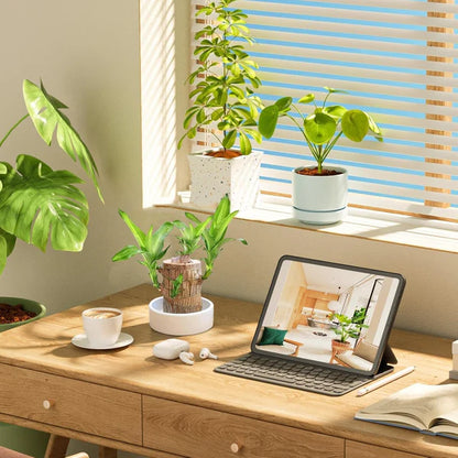 SYMZ Mini Green Oasis: Brazilian Lucky Wood for Home & Office